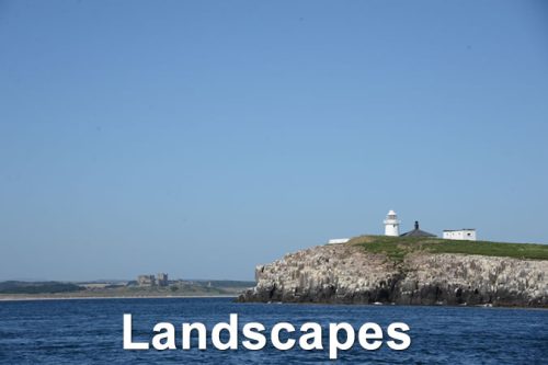 LANDSCAPES-Farne (1)